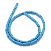 Synthetic Turquoise Beads Strands G-F631-D08-2