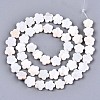 Natural Freshwater Shell Beads Strands X-SHEL-S276-111-2