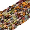 Natural Alashan Agate Beads Strands G-Q060-D19-02-2