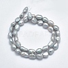 Natural Cultured Freshwater Pearl Beads Strands PEAR-K003-17-2