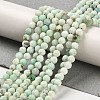 Natural Green Opal Beads Strands G-Z035-A02-03C-2