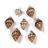 Natural Spiral Shell Pendants SHEL-K009-17C-1