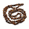 Natural Tiger Eye Chip Bead Strands X-G-M205-03-2