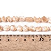 Natural Trochid Shell/Trochus Shell Beads Strands SSHEL-N040-13-4