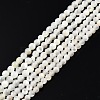 Natural White Shell Bead Strands SSHEL-N003-144A-01-1