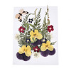 Pressed Dried Flowers DIY-YWC0001-96-2