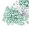 6/0 Glass Seed Beads SEED-US0003-4mm-154-1