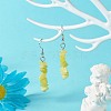 Natural & Synthetic Mixed Stone Chip Beads Dangle Earrings EJEW-JE04649-4