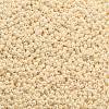 TOHO Round Seed Beads SEED-JPTR11-0123-2