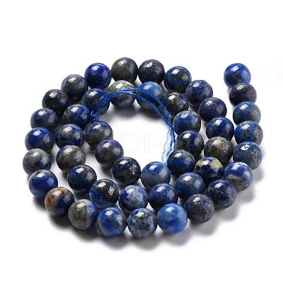 Natural Lapis Lazuli Bead Strands G-G953-02-8mm-1