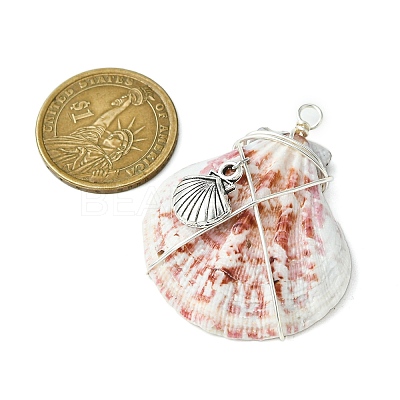 3Pcs Silver Copper Wire Wrapped Natural Scallop Shell Pendants PALLOY-TA00186-1