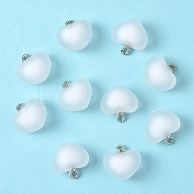 10Pcs Frosted Resin Pendants RESI-YW0004-45F-1