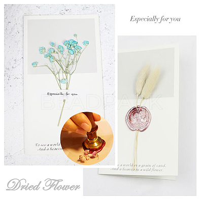 DIY Scrapbook AJEW-WH0100-385-1