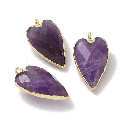 Natural Amethyst Pendants G-G012-12G-10-1