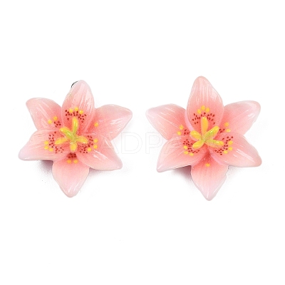 Opaque Resin Pendants CRES-D328-04E-1
