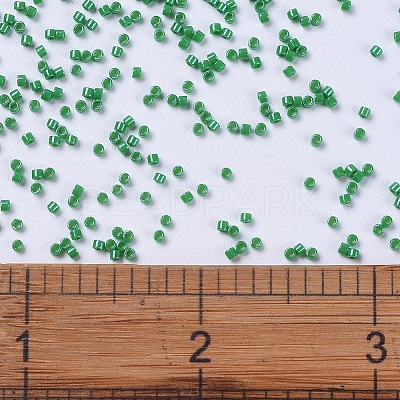 MIYUKI Delica Beads LS-X-SEED-J020-DB0655-1