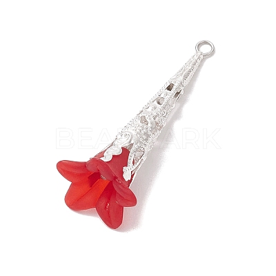 Acrylic Pendants PALLOY-TA00127-1