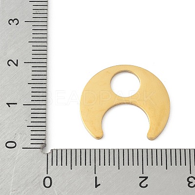 304 Stainless Steel Pendants STAS-Q354-03G-1