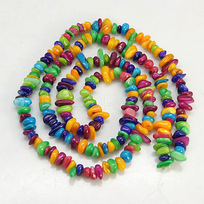 Natural Shell Beads Strands X-BSHE-D004-2-1
