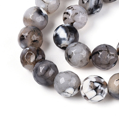 Dyed & Heated Natural Fire Crackle Agate Beads Strands G-N359-01B-04-1