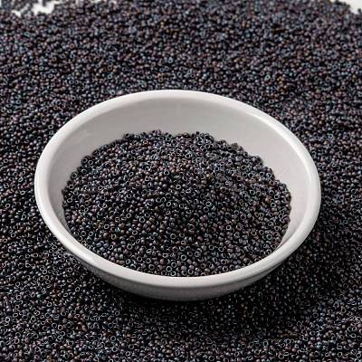 MIYUKI Round Rocailles Beads SEED-JP0010-RR2005-1