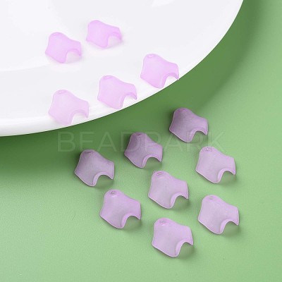 Transparent Acrylic Beads MACR-S373-106-D03-1