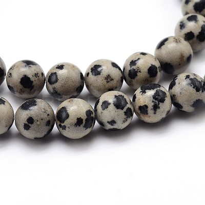 Natural Dalmatian Jasper Round Bead Strands G-J303-19-10mm-1