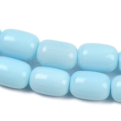 Opaque Glass Beads Strands GLAA-Z015-02E-1