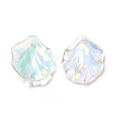 Transparent Acrylic Pendants X-MACR-C009-06-1