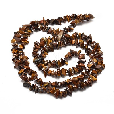 Natural Tiger Eye Chip Bead Strands X-G-M205-03-1