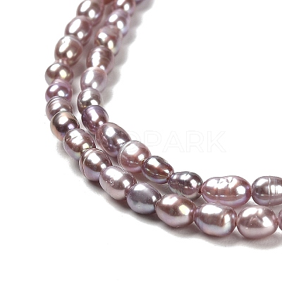 Natural Cultured Freshwater Pearl Beads Strands PEAR-E016-148-1