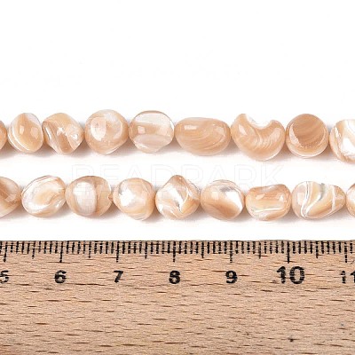 Natural Trochid Shell/Trochus Shell Beads Strands SSHEL-N040-13-1
