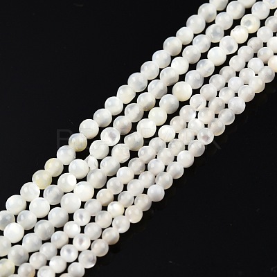 Natural White Shell Bead Strands SSHEL-N003-144A-01-1