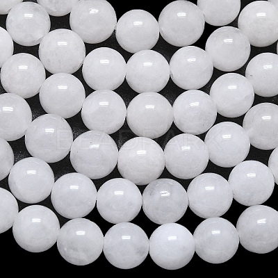 Natural Malaysia Jade Beads Strands G-L645-B01-10mm-01-1