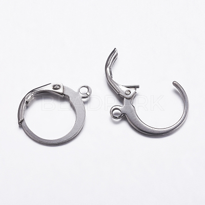 Tarnish Resistant 304 Stainless Steel Hoop Earrings X-STAS-K146-038-14.5mm-1