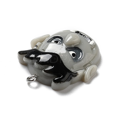 Halloween Opaque Resin Pendants RESI-B011-06-1