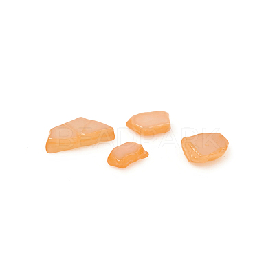 Natural Freshwater Shell Beads X-BSHE-I011-03C-1