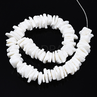 Natural White Shell Beads Strands SSHEL-S266-029-1
