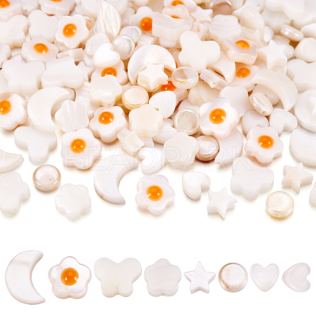 160Pcs 8 Styles Natural Freshwater Shell Beads Strands SHEL-TA0001-08-1