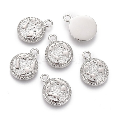 Non-Tarnish 304 Stainless Steel Charms STAS-F256-012P-1