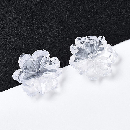 Resin Cabochons X-RESI-S364-46C-1