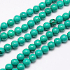 Natural Magnesite Beads Strand TURQ-G096-10mm-1