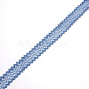Polyester Rolls Lace Trim OCOR-WH0063-64B-2