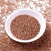 MIYUKI Delica Beads SEED-J020-DB2172-2