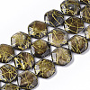 Drawbench Freshwater Shell Beads Strands X-SHEL-T014-013C-1