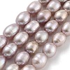 Natural Cultured Freshwater Pearl Beads Strands PEAR-P062-08J-2