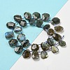 Natural Labradorite Beads Strands G-Z040-A03-01-3