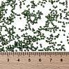 MIYUKI Round Rocailles Beads SEED-JP0010-RR0306-4
