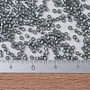 MIYUKI Delica Beads SEED-J020-DB0697-4