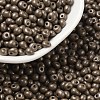 6/0 Glass Seed Beads SEED-L011-08A-09-1